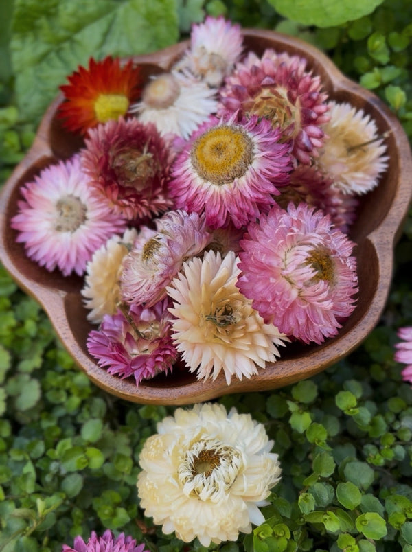 Nature & Sensory Treasures
