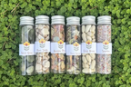 Play Toppings