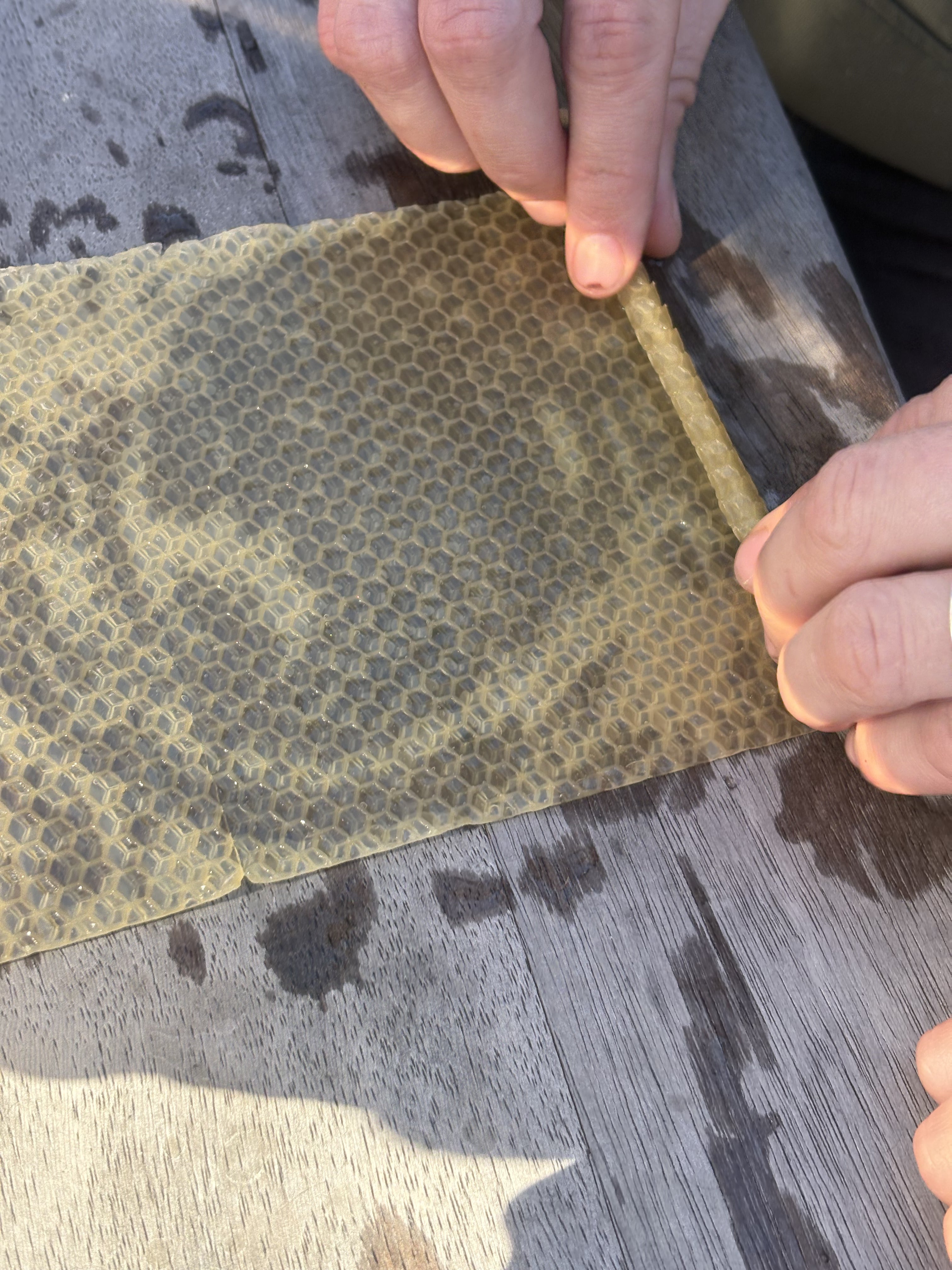 Beeswax Candle Rolling Kit