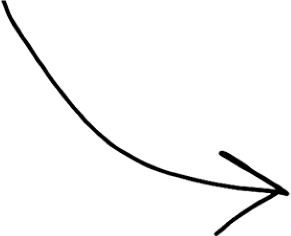 Hand-drawn nature-inspired illustration