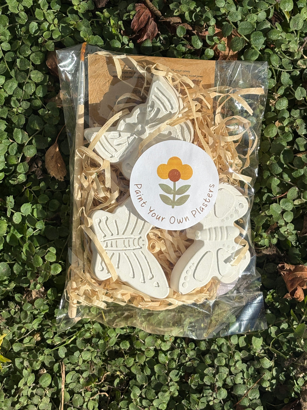Paint Your Own Butterflies Kit