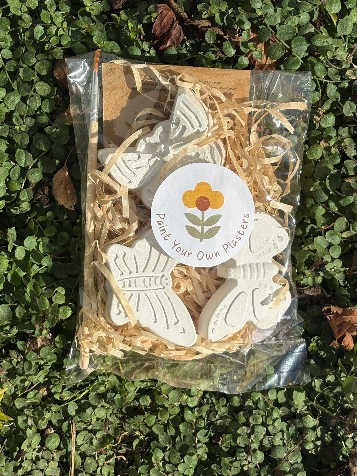 Paint Your Own Butterflies Kit