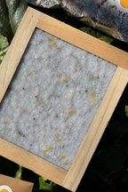 Seed Paper Making Kit