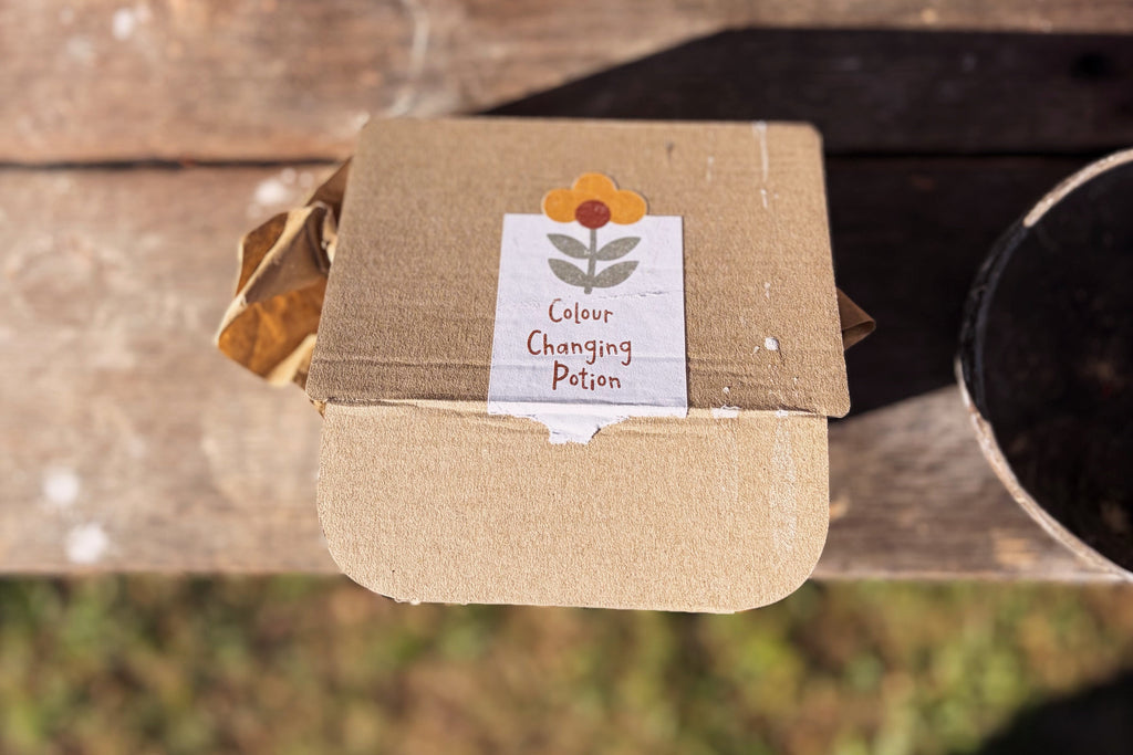 Colour Changing Potion Kit