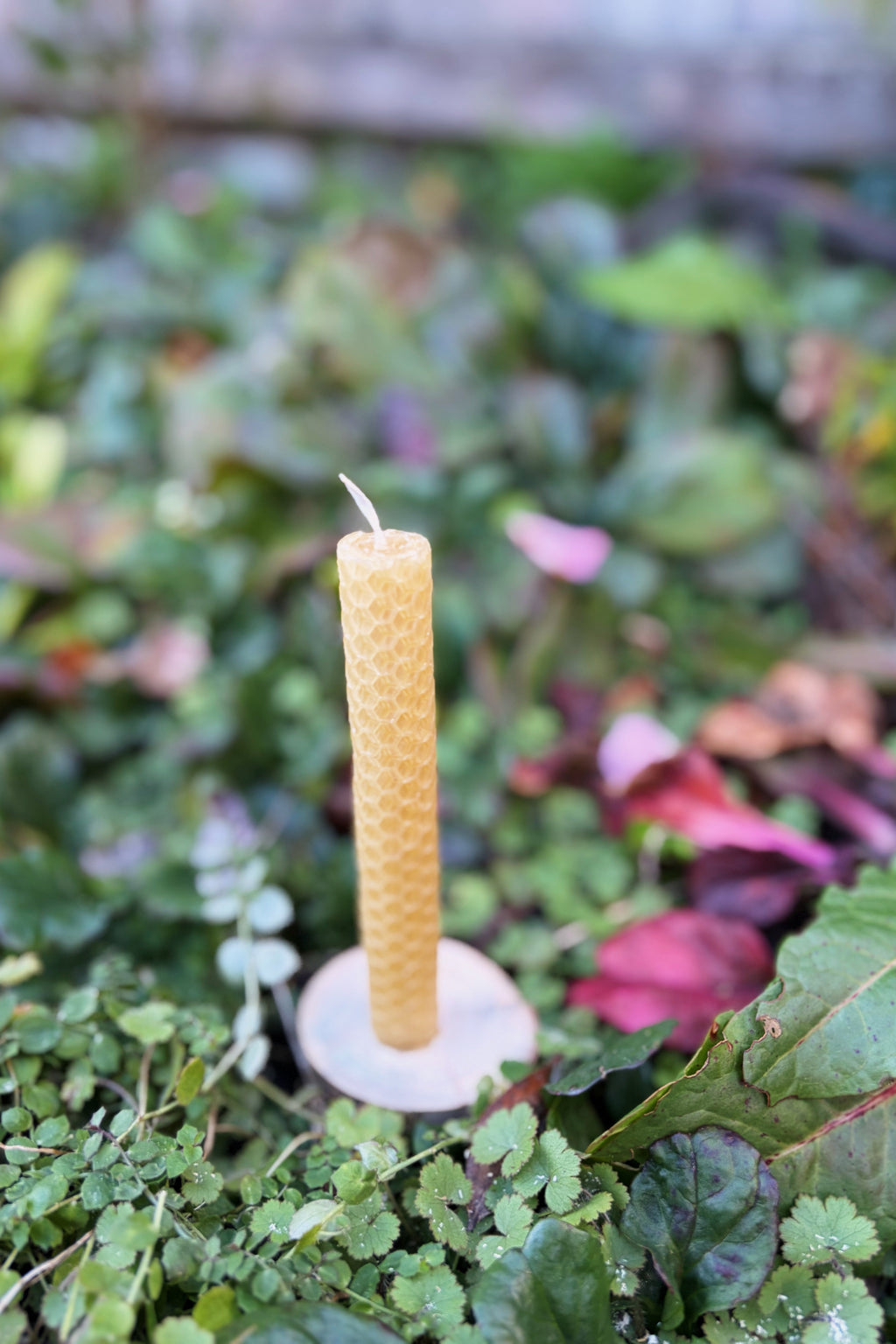 Beeswax Candle Rolling Kit