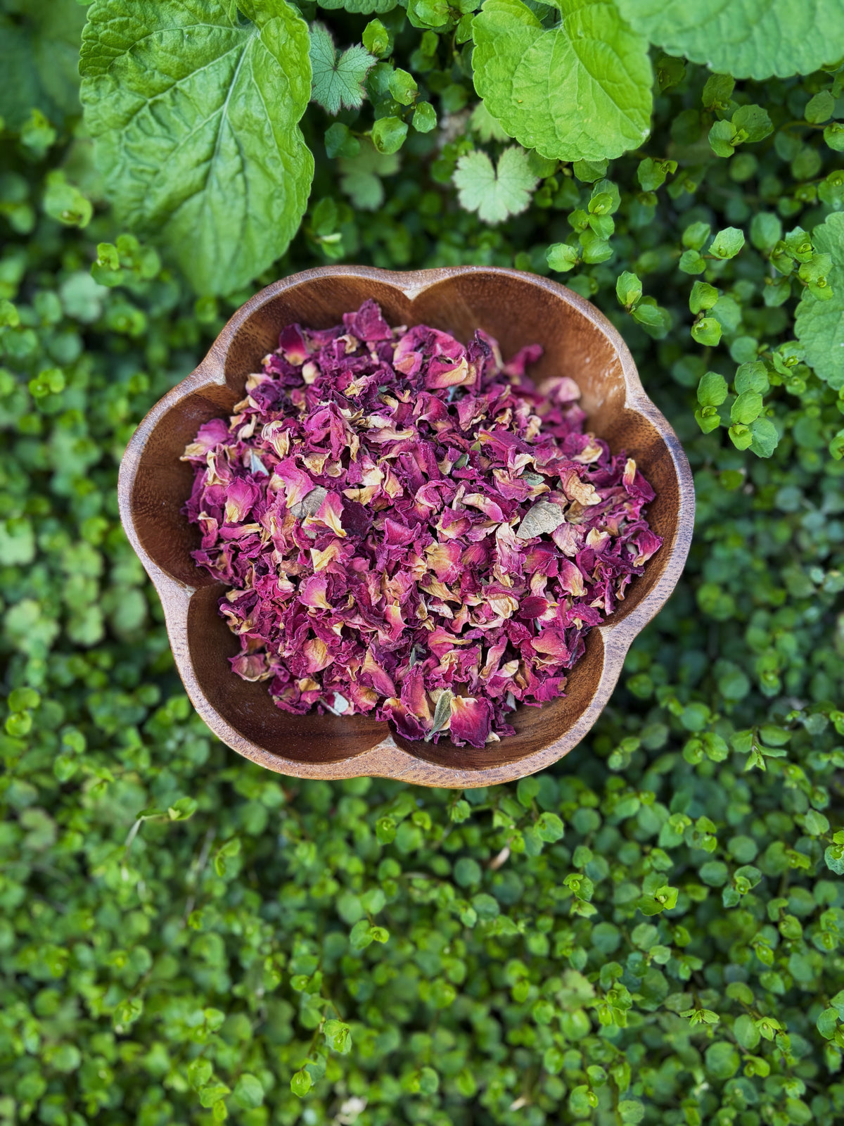 Dried Rose Petals