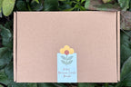 Beeswax Candle Rolling Kit