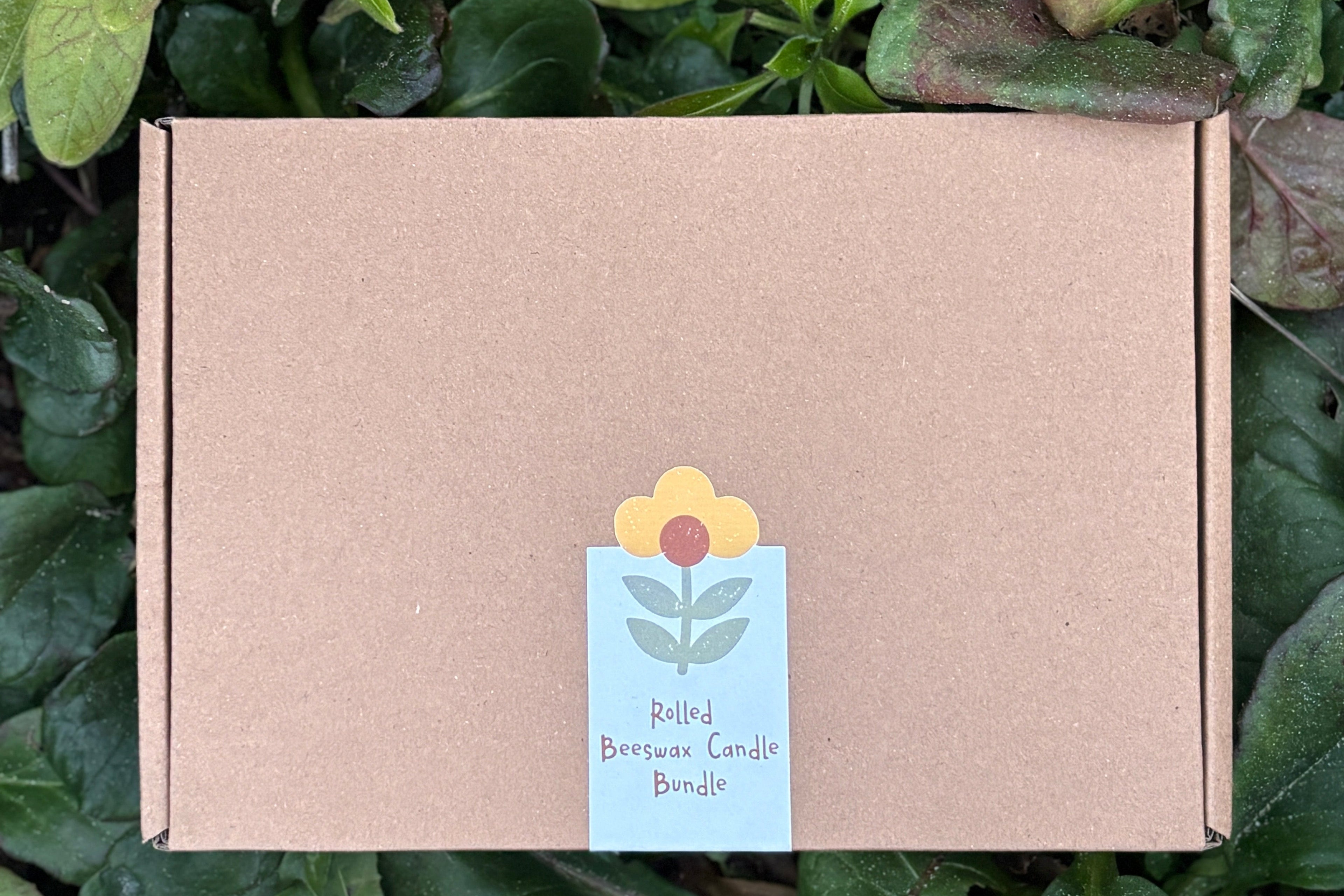 Beeswax Candle Rolling Kit