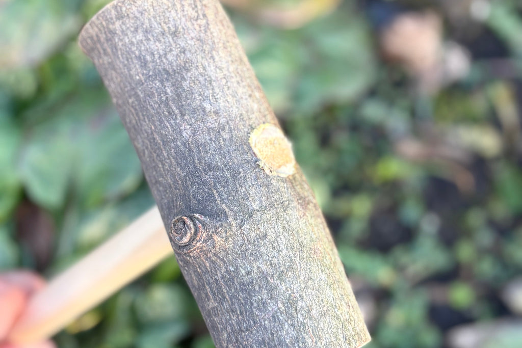 Wooden Play Hammer