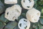 Loose Parts Add Ons