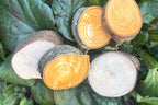 Loose Parts Add Ons