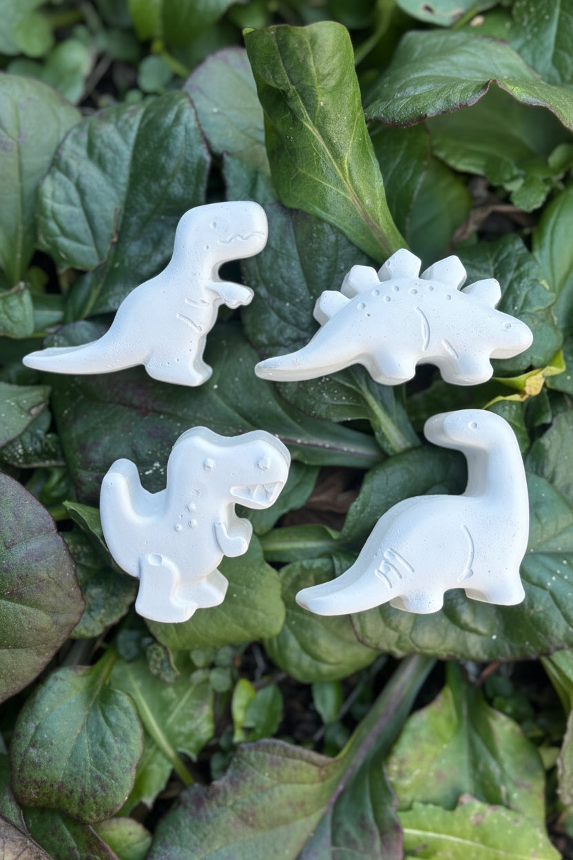 Paint Your Own Dinosaurs Kit