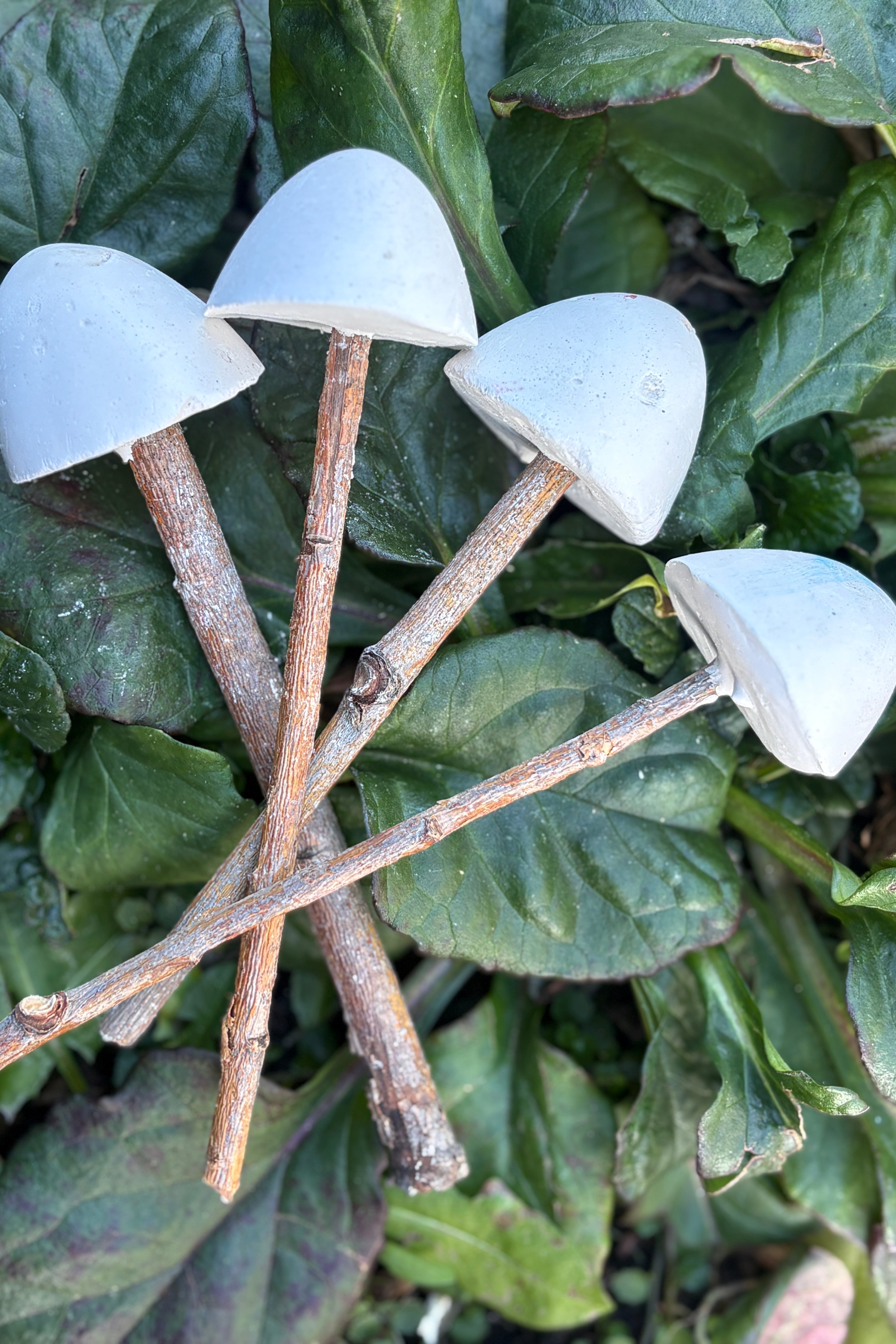 Paint Your Own Mushroom Kit