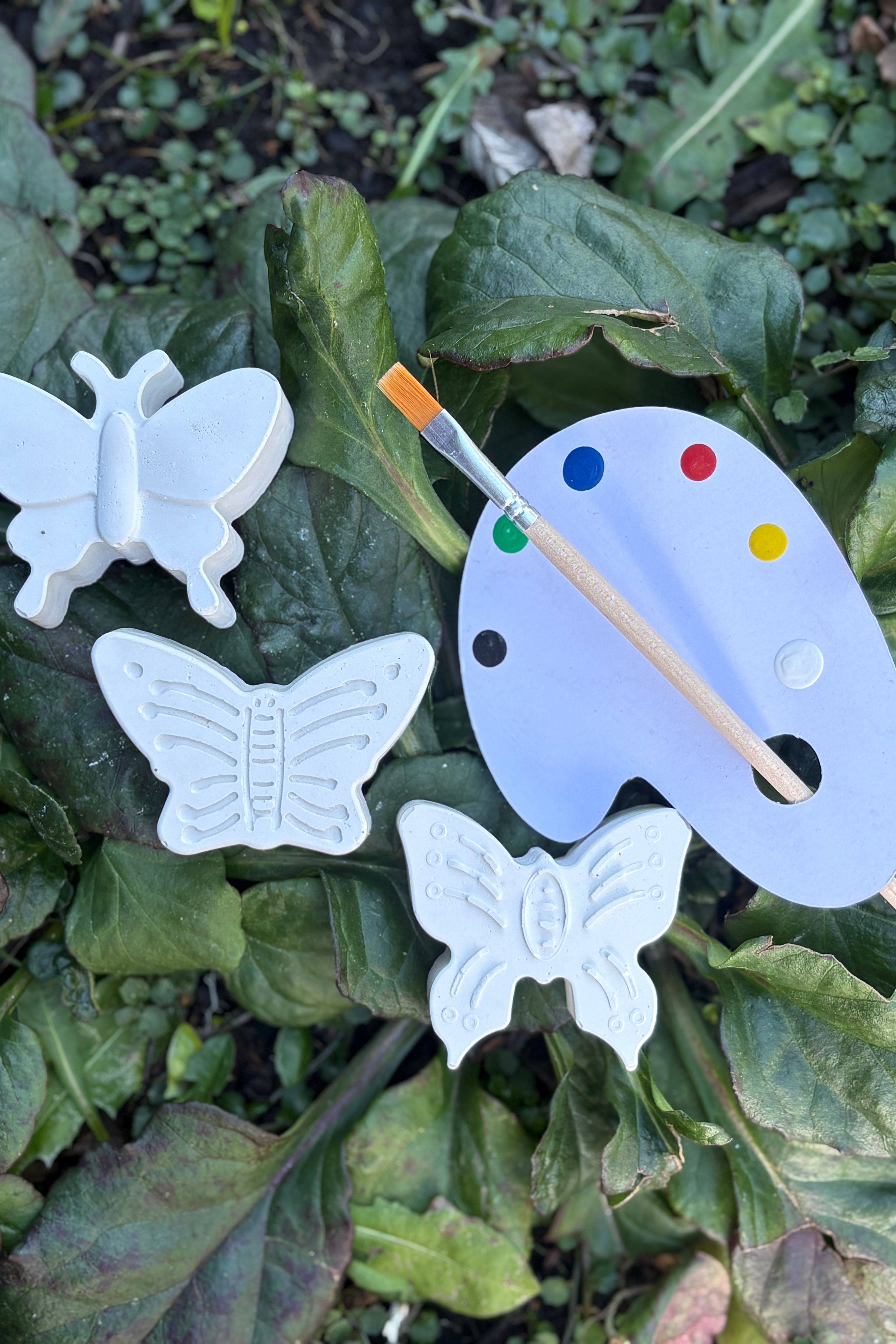 Paint Your Own Butterflies Kit
