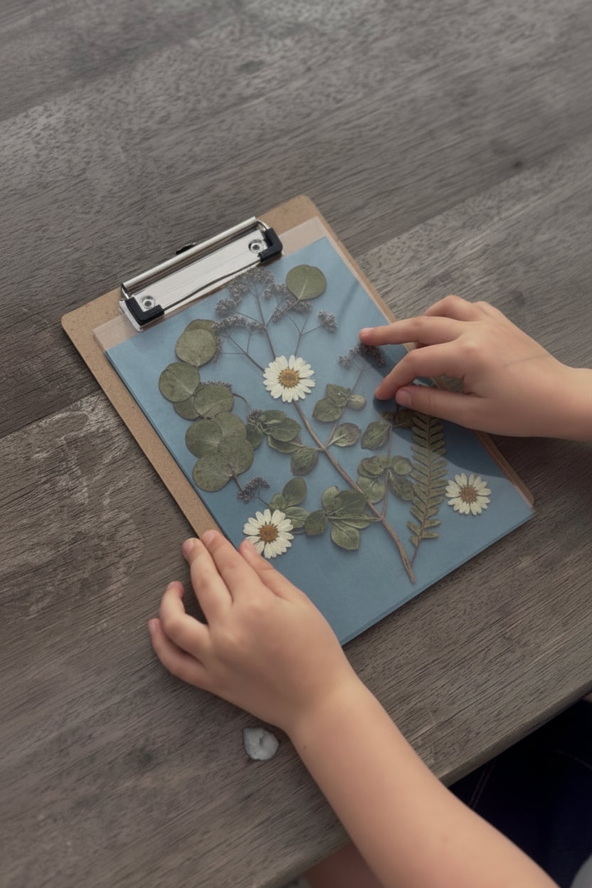 Kids Cyanotype Bundle