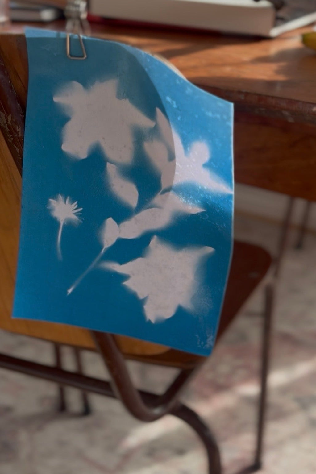 Kids Cyanotype Bundle