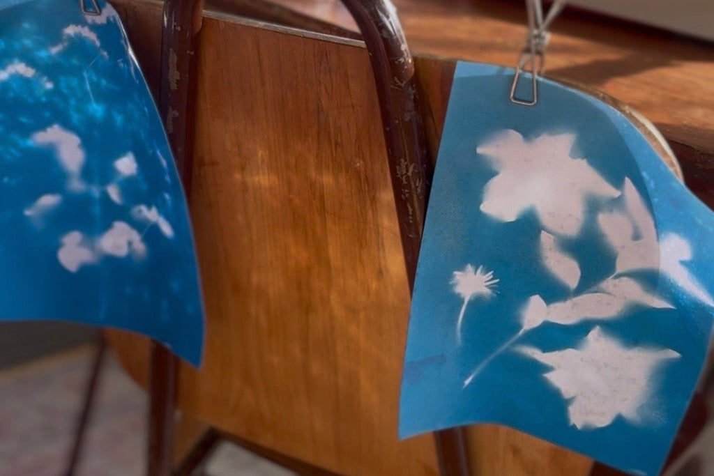 Kids Cyanotype Bundle
