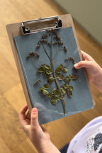 Kids Cyanotype Bundle