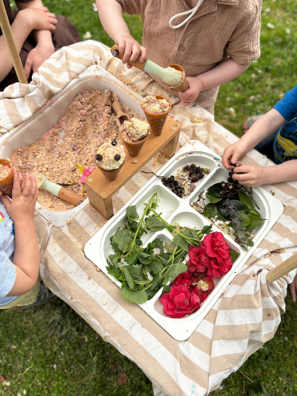 Nature Play Session - 23rd September 2026