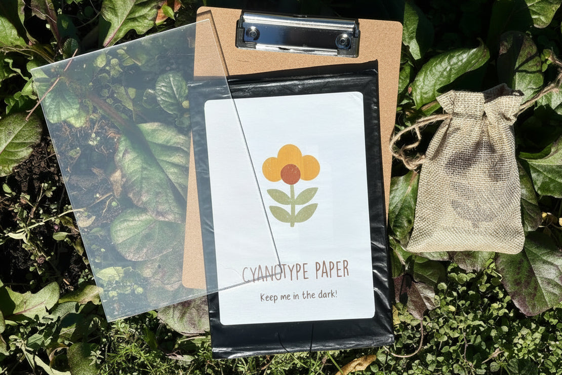 Kids Cyanotype Bundle
