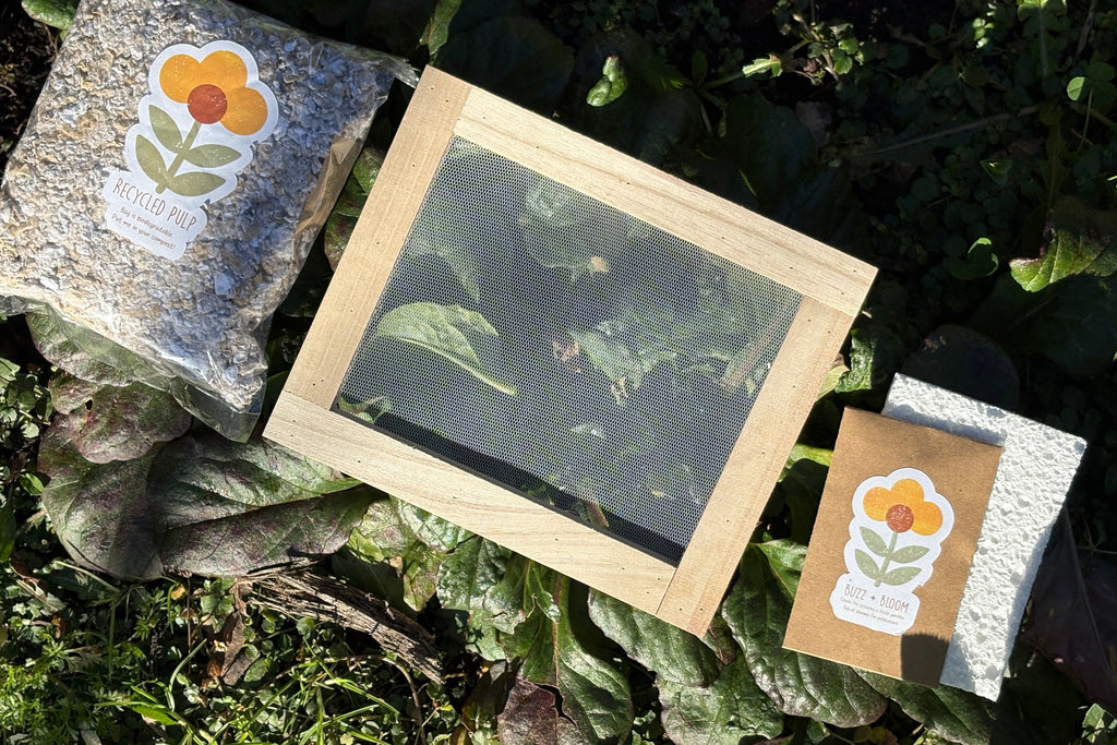Seed Paper Making Kit