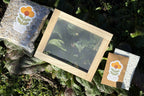 Seed Paper Making Kit