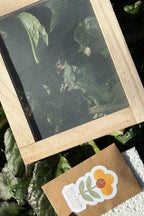 Seed Paper Making Kit