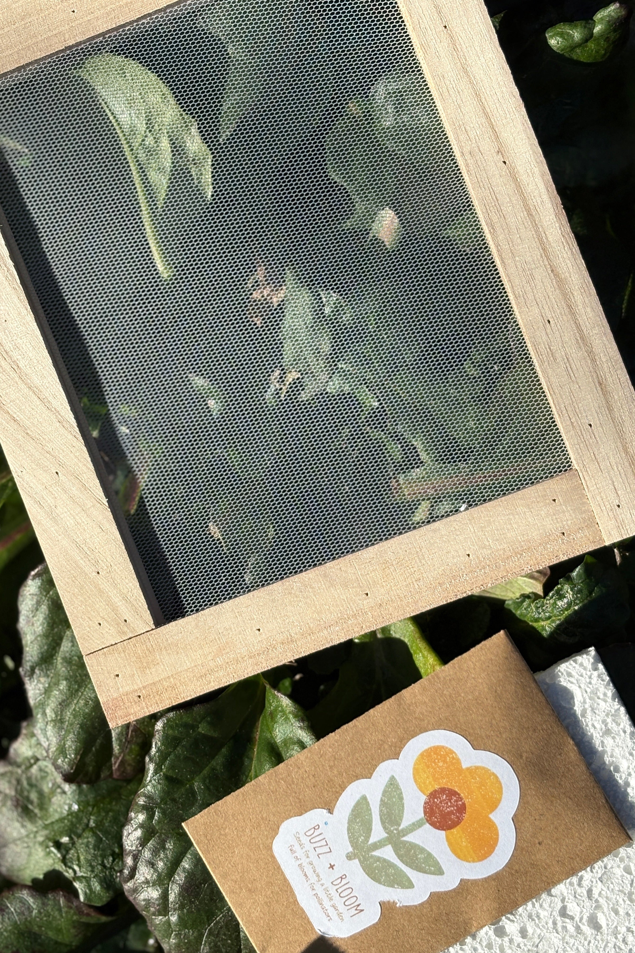 Seed Paper Making Kit