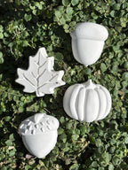 Paint Your Own Natures Halloween Plasters