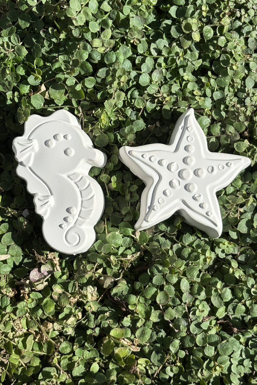Paint Your Own Seahorse and Starfish