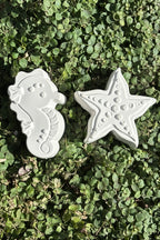Paint Your Own Seahorse and Starfish