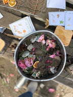 School Holidays Nature Play Session - Thursday 1st October