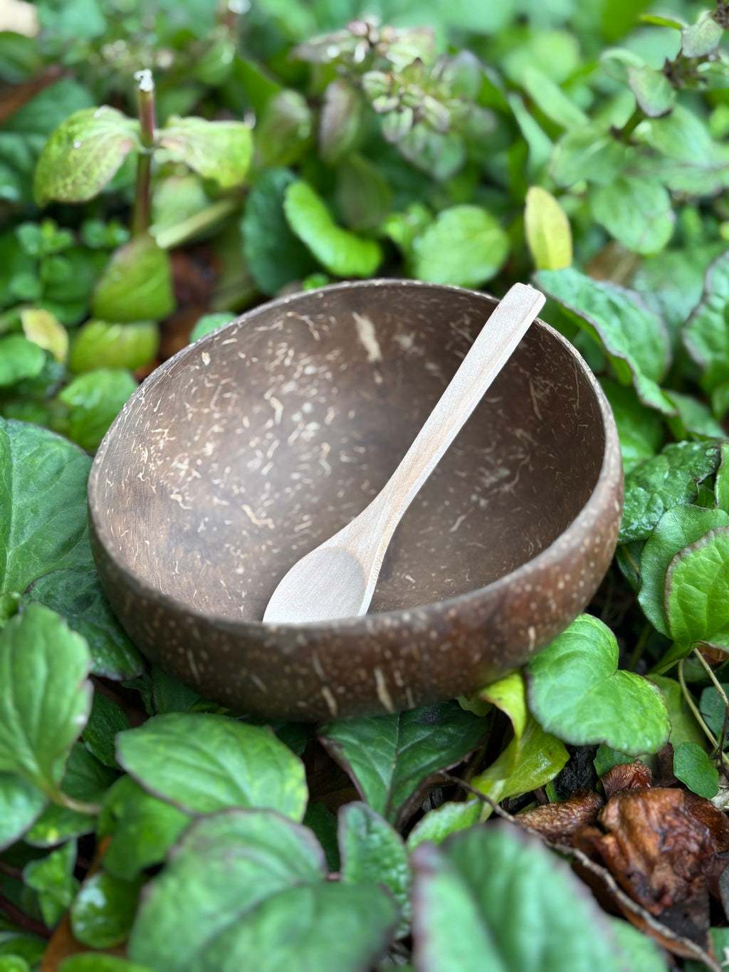 coconut bowl