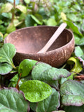 coconut bowl