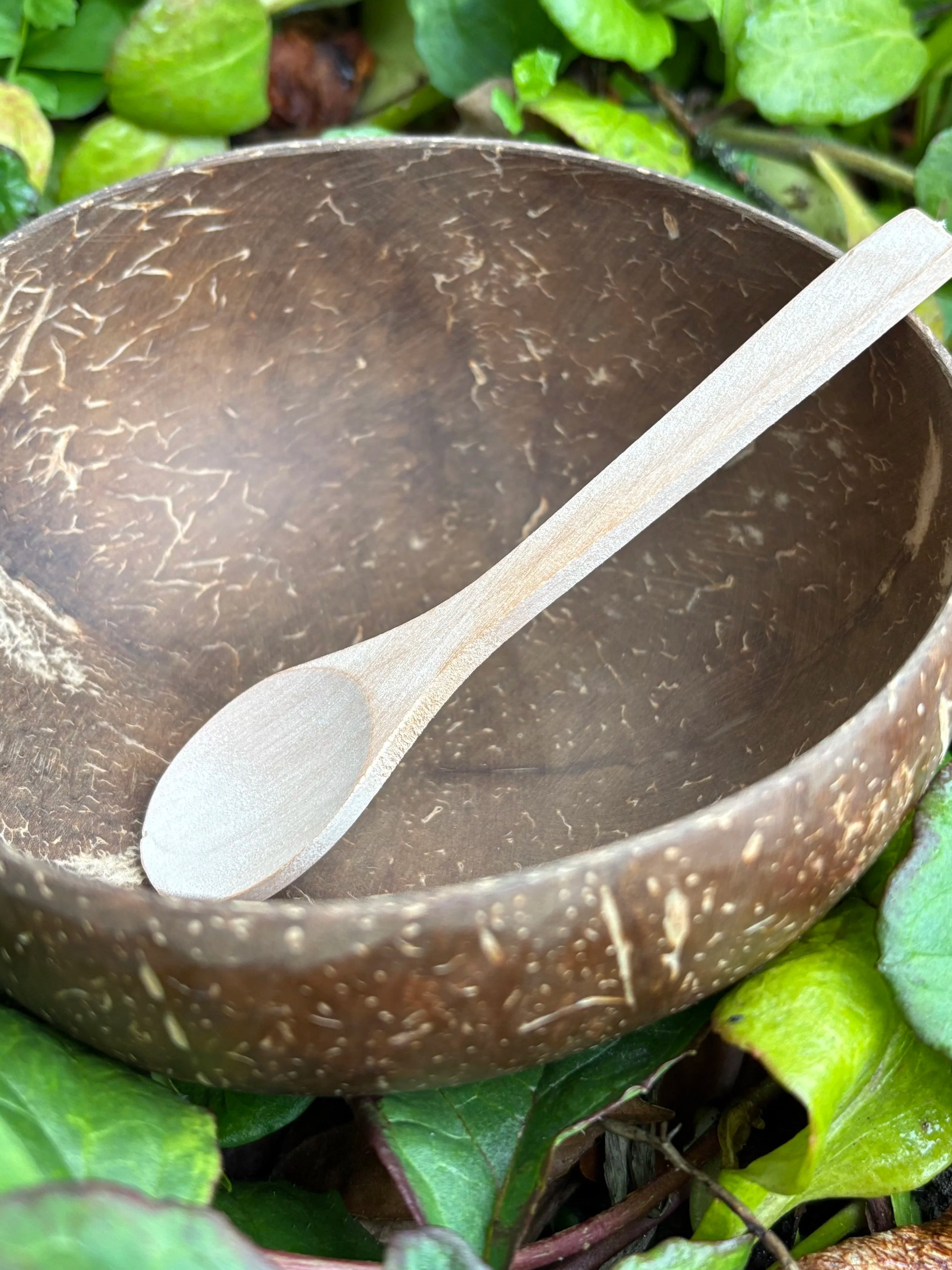 coconut bowl