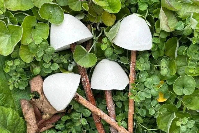 paint your own mushroom kit