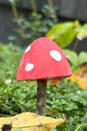 paint your own mushroom kit