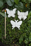 paint your own butterflies