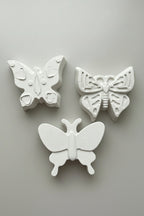 paint your own butterflies