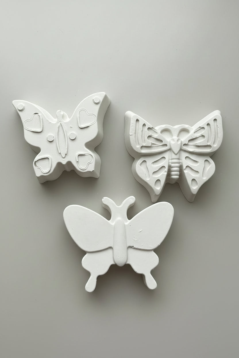paint your own butterflies