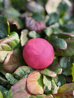 Nature Dough Mix
